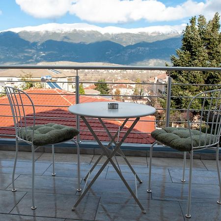 Lovely Guesthouse - 58M2 Mountain View Ioannina Buitenkant foto