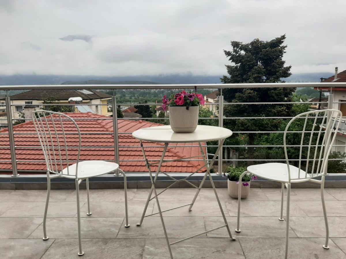 Lovely Guesthouse - 58M2 Mountain View Ioannina Buitenkant foto